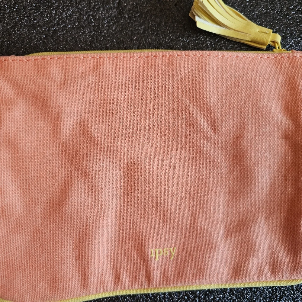 Brand New Never Used Beautiful Ipsy Makeup Bag